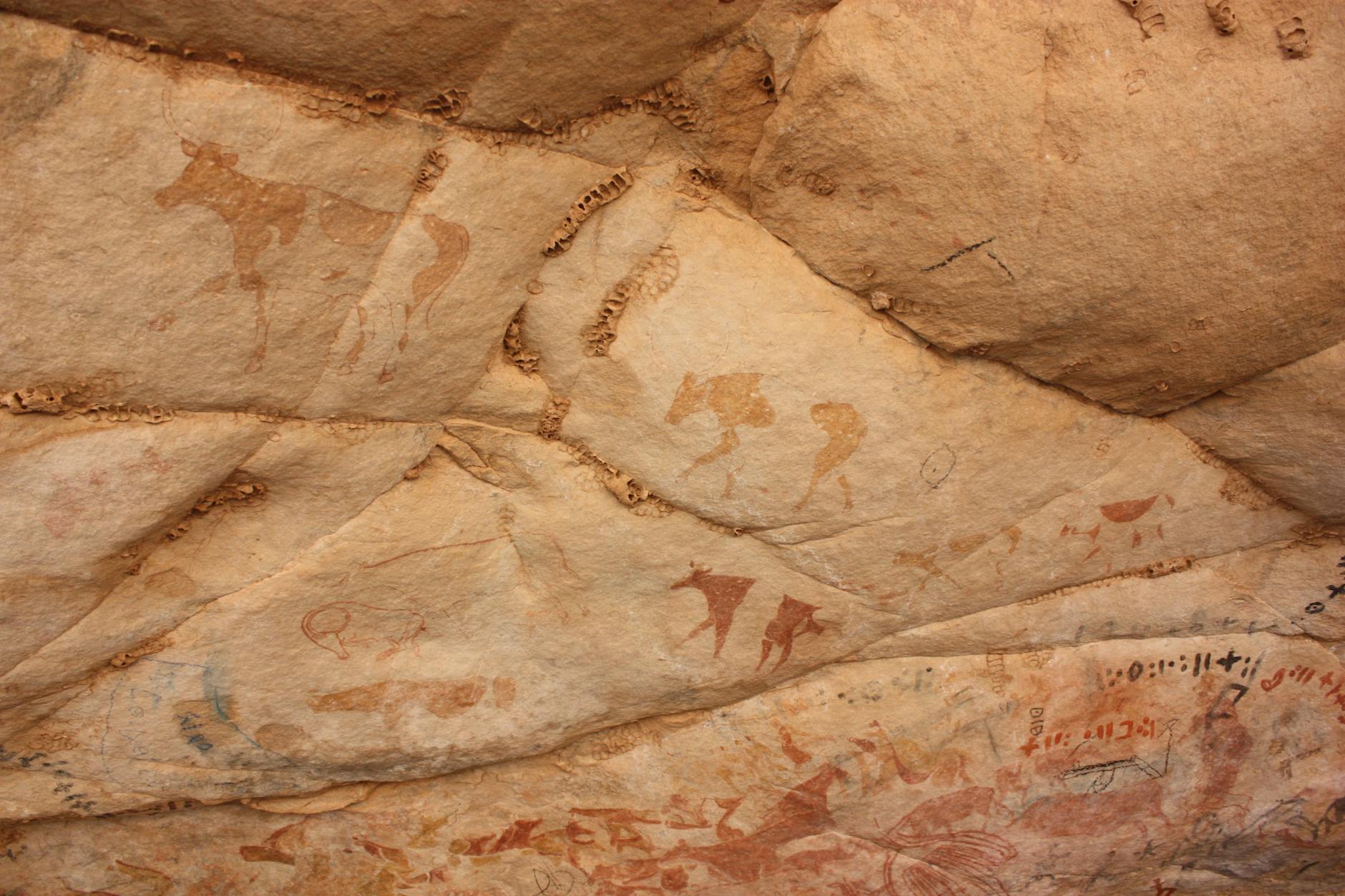 pictures of cows and people carved in stone in a cave
